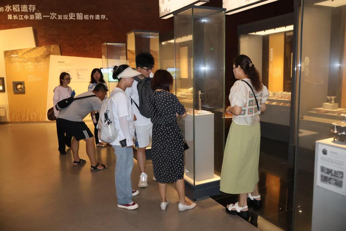 实践团队成员参观屈家岭农耕文化博物馆(通讯员 张新宇 摄)