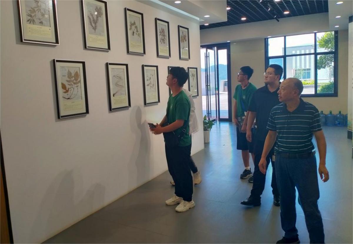 何经理引导团队成员参观欣中医药标本展厅(马克思主义学院 供图)(1)